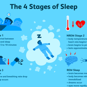 4 stages of sleep