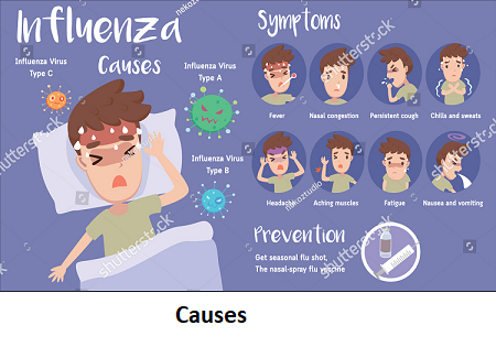 flu, influenza, common cold symptom