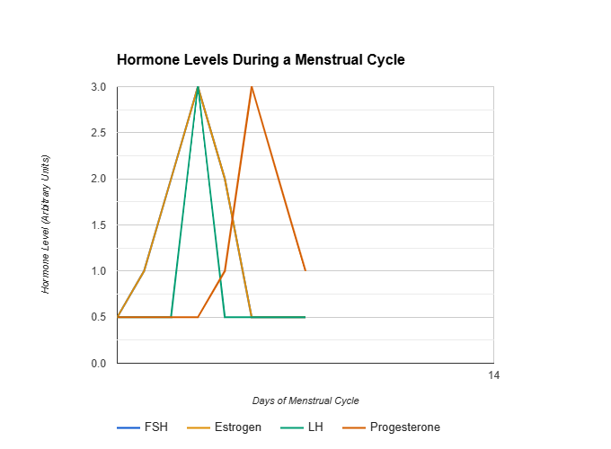 menstrual cycle hormone graph