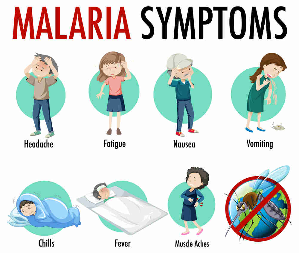 MALARIA, SYMPTOMS OF MALARIA