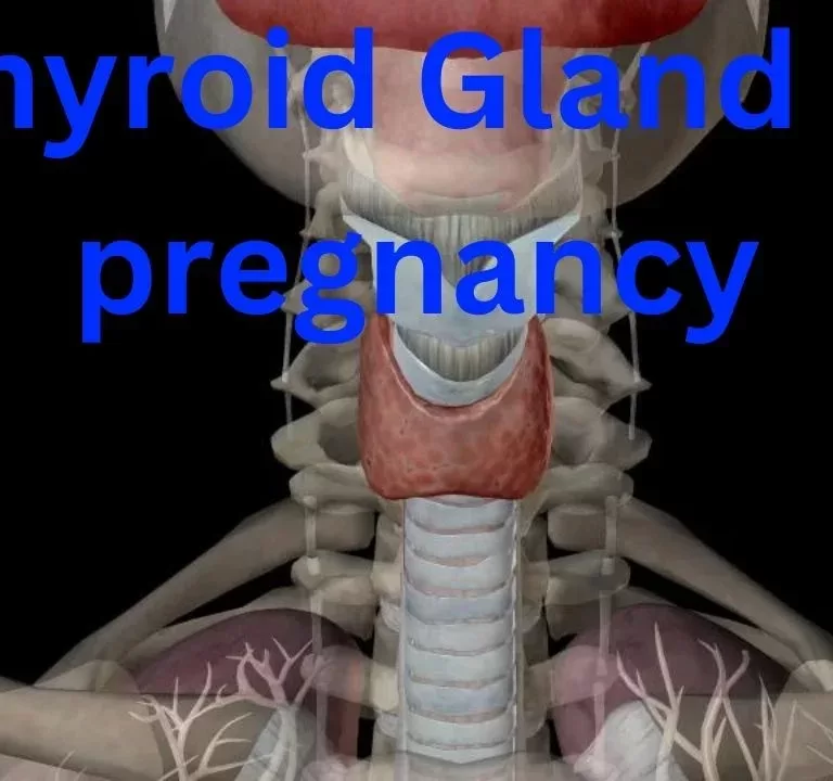 thyroid gland in pregnancy